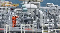 Anak usaha PGN, yakni PT PGN LNG Indonesia (PLI) berkongsi dengan PT Pelindo Energi Logistik selaku anak usaha Pelindo III ditugaskan menggarap pembangunan Terminal LNG Teluk Lamong.