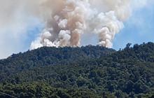 Kebakaran Hutan Melanda Gunung Latimojong, Jalur Pendakian Rante Mario Ditutup