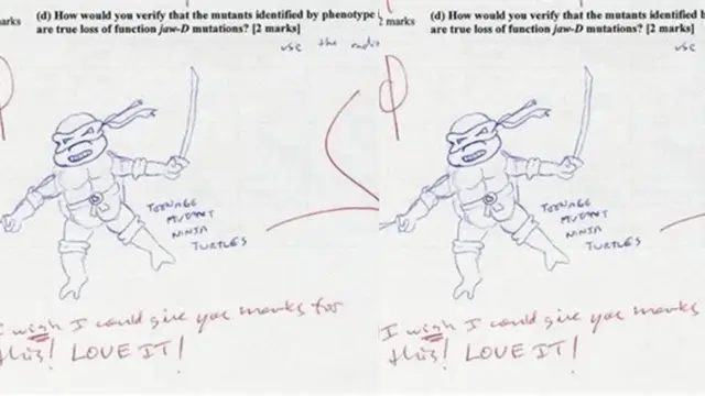 Foto: copyright Oddee.com