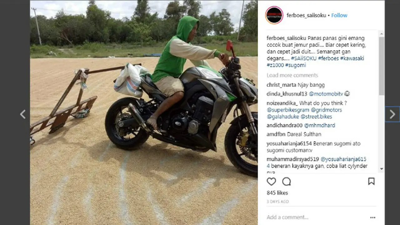 Aksi Pemuda Keringkan Gabah Pakai Motor Gede Mahal