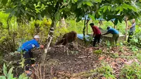 Sepenggal Kisah dari Pulau Buru: Berkurban tanpa Memandang Perbedaan
