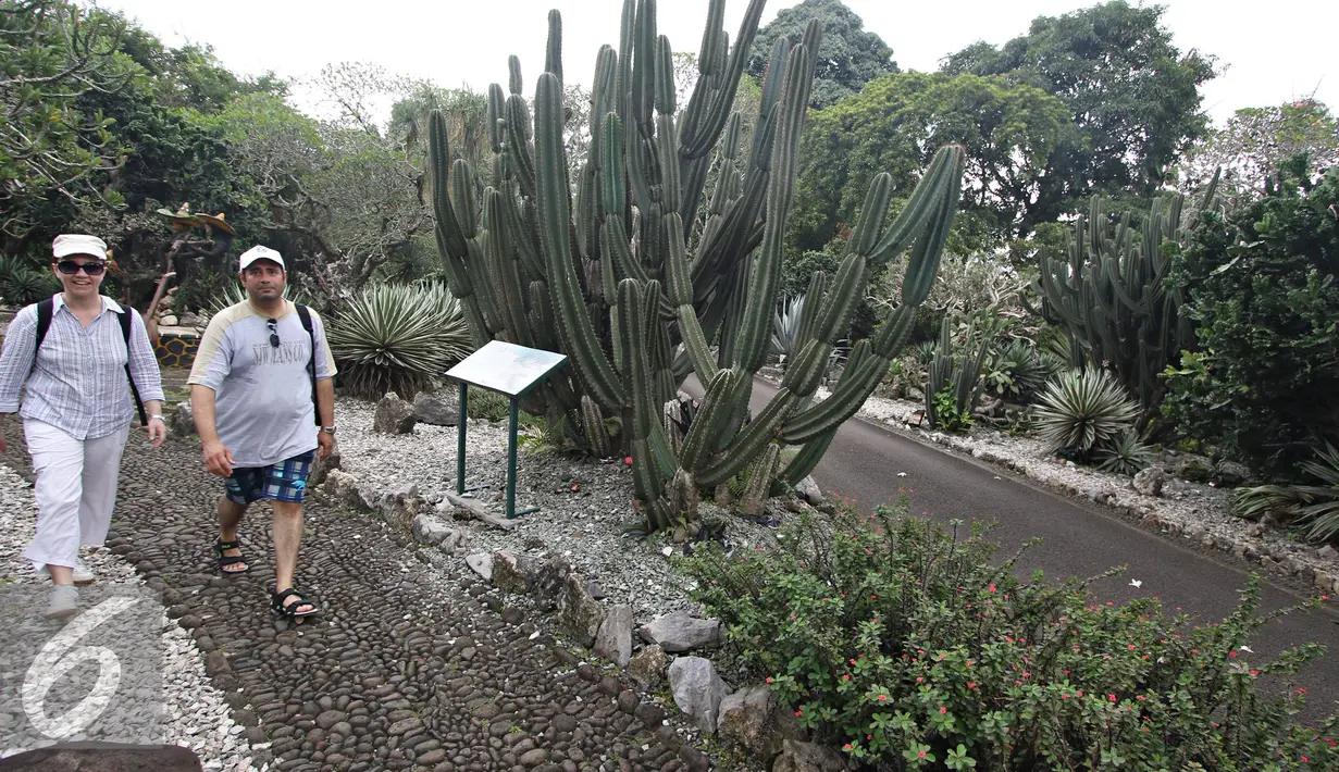 Turis berjalan di sekitar Taman Meksiko, Kebun Raya Bogor, Jawa Barat, Senin (28/3). Di taman tersebut, terdapat 100 jenis kaktus, agave, yucca, dan sukulen yang berasal dari gurun Amerika serta Asia. (Liputan6.com/Immanuel Antonius)