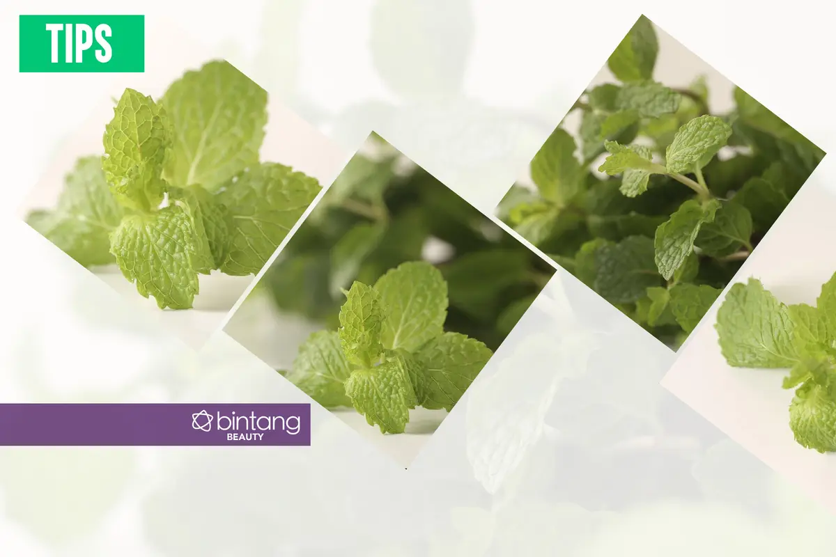 Tips: Andalkan Daun Mint untuk Perawatan Wajah yang Praktis