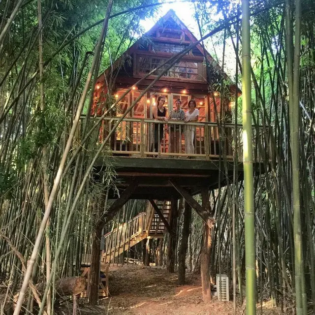 Berbaur dengan Alam, Ini 7 Rumah Pohon Terunik di Dunia