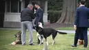 Anjing Presiden Joe Biden, Champ (kiri) dan Major terlihat di South Lawn Gedung Putih di Washington, Rabu (31/3/2021). Major kembali menggigit seseorang di Gedung Putih, hanya beberapa hari setelah kembali dari pelatihan di Delaware menyusul insiden serupa awal bulan ini. (Mandel Ngan/Pool via AP)