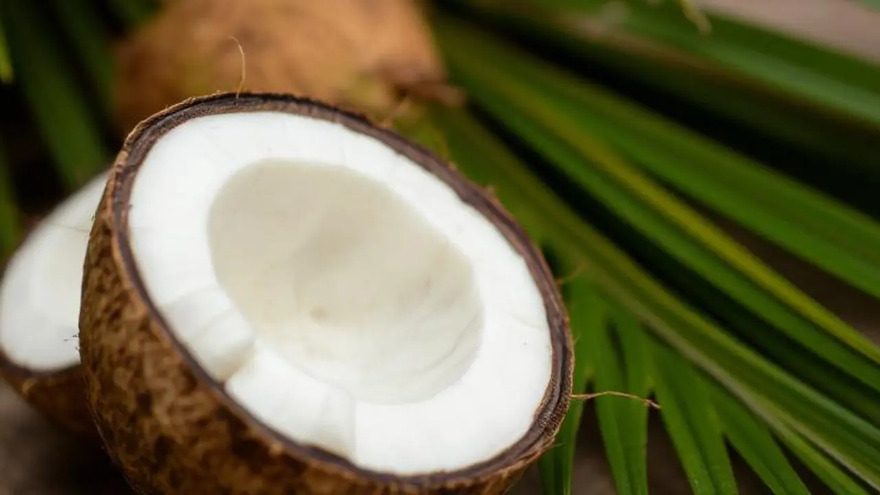 Hari Kelapa Sedunia 2 September 2025, Ingat Kembali Manfaatnya bagi Kesehatan