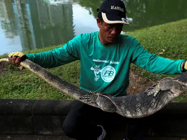 Seorang pekerja memegang biawak yang ditemukan di Taman Lumpini, Bangkok, Thailand, Selasa (20/9). Proses penangkapan biawak sepanjang hampir 2 meter itu menjadi perhatian pengunjung taman. (REUTERS / Athit Perawongmetha)