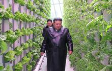 Kim Jong-un Pamer Proyek Pertanian Raksasa di Wilayah Perbatasan China
