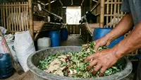 Solusi Ampuh Pakan Ternak Agar Tidak Bau, Kandang Bersih Hewan Sehat