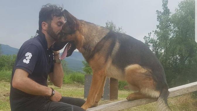 Kaos, anjing ras German Sheperd yang dianggap pahlawan di Italia, karena telah membantu menyelamatkan ratusan korban gempa maut (AFP)