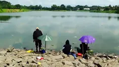 liputan6