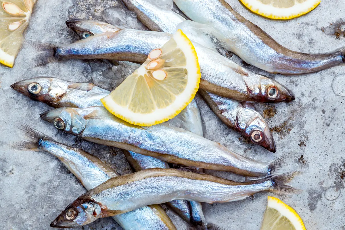 Ikan