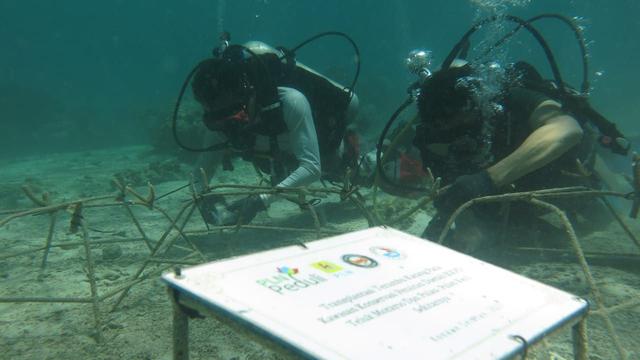 PLN Peduli lakukan transplantasi terumbu karang di Kawasan Konservasi Perairan Daerah (KKPD) Kabupaten Konawe Selatan, Sulawesi Tenggara (Sultra).