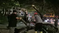 5 Pemotor Tertimpa Pohon Tumbang Depan Kampus Unpad Jatinangor
