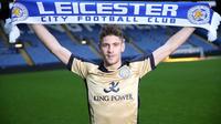 Striker Leicester City Andrej Kramaric (dailymail.co.uk)