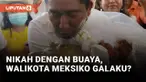 Walikota Meksiko Nikah dengan Buaya Betina