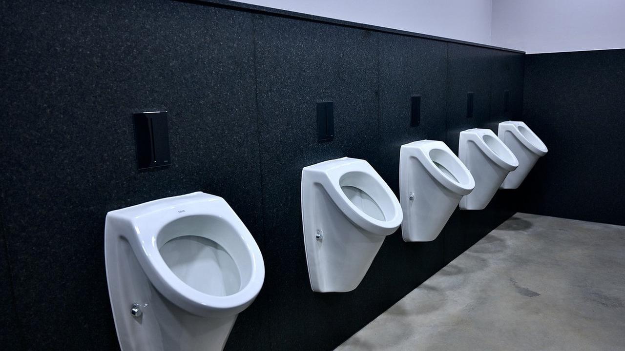 Waspadai! Kencing Berbusa Bisa Jadi Tanda Awal Kerusakan Ginjal