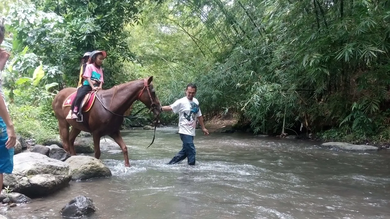  Bale Kuda Stable