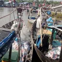 Dihantam Angin Kencang dan Kelangkaan Solar, Nelayan di Serdang Bedagai Menjerit