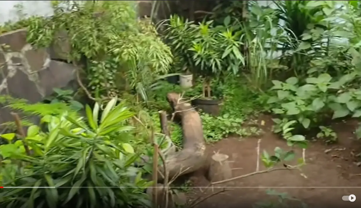 Rumah Mendiang Poppy Mercury (Youtube/Ramza Tv Studio)