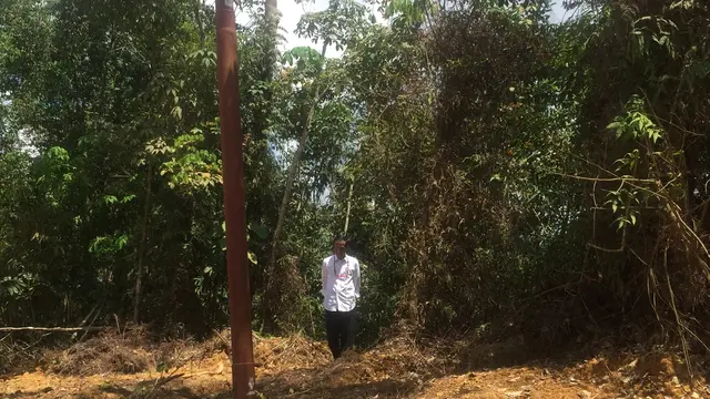 Presiden Joko Widodo atau Jokowi mengecek kelaikan Kalimantan Tengah (Kalteng) sebagai ibu kota. (Liputan6.com/Lizsa Egeham)
