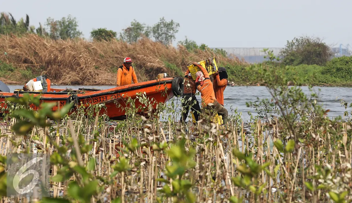 Petugas mengangkut sampah kedalam perahu di pesisir Muara Angke, Jakarta, Kamis (29/10). Setiap harinya mereka yang digaji UMR berkeliling membersihkan sampah yang terbawa arus laut maupun aliran sungai Kanal Banjir Barat. (Liputan6.com/Faizal Fanani)