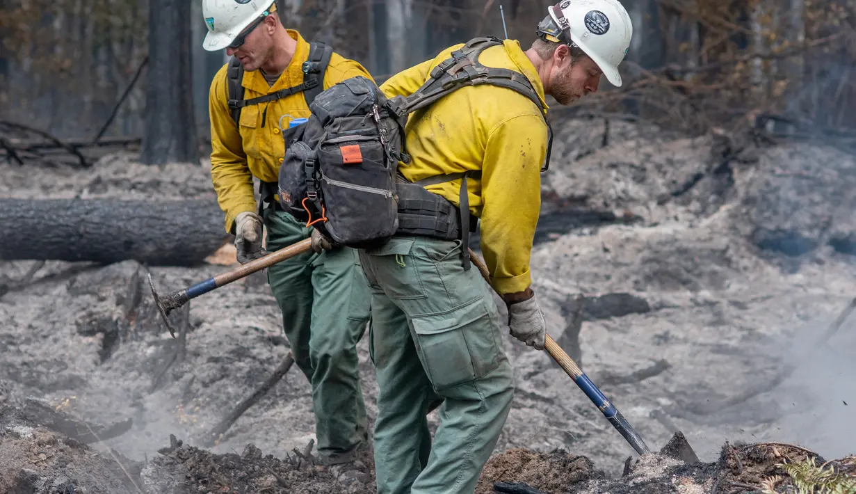 <p>Petugas pemadam kebakaran memadamkan titik api dari kebakaran Cedar Creek di sebelah timur Oakridge, Oregon, Senin (12/9/2022). Petugas kebakaran juga mengatakan mereka berfokus melindungi rumah dan infrastruktur di Oakridge dan Westfir. (Photo by Dan Morrison/AFP)</p>