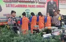 Terungkap, Peneliti Ini Jadi Otak di Balik Kebun Ganja di Jombang