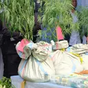 Tanaman Ganja Ditemukan di Tengah Semak Gunung Seminung Lampung