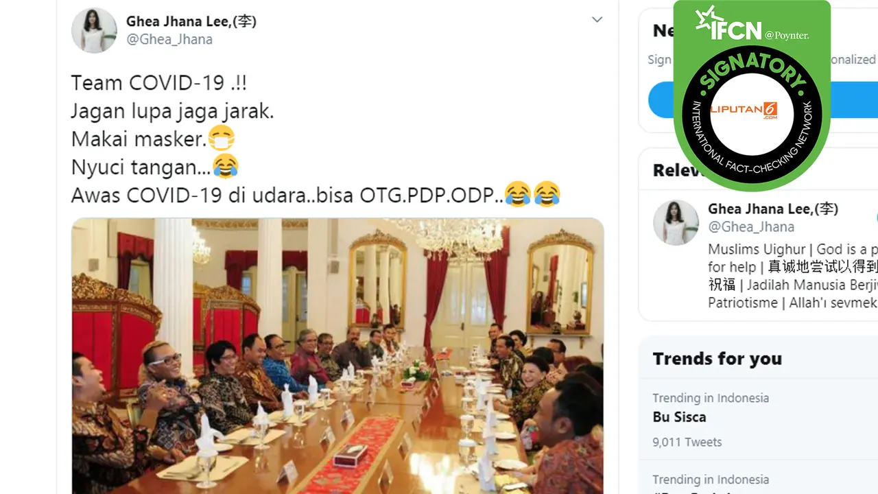 Tim Covid Jokowi