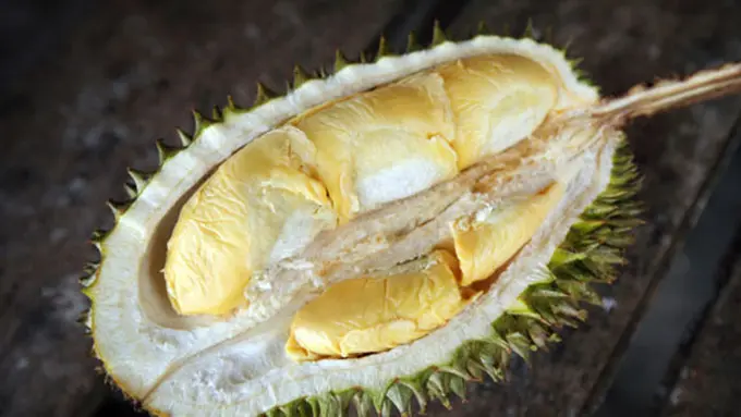 Foto: copyright thinkstockphotos.com