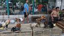 Pedagang tengah menjual ayam kampung di Jakarta, Selasa (12/6). Para pedagang ayam musiman tersebut menjual ayam dengan kisaran harga 100 ribu hingga 250 ribu untuk kebutuhan ayam potong lebaran. (Liputan6.com/Angga Yuniar)