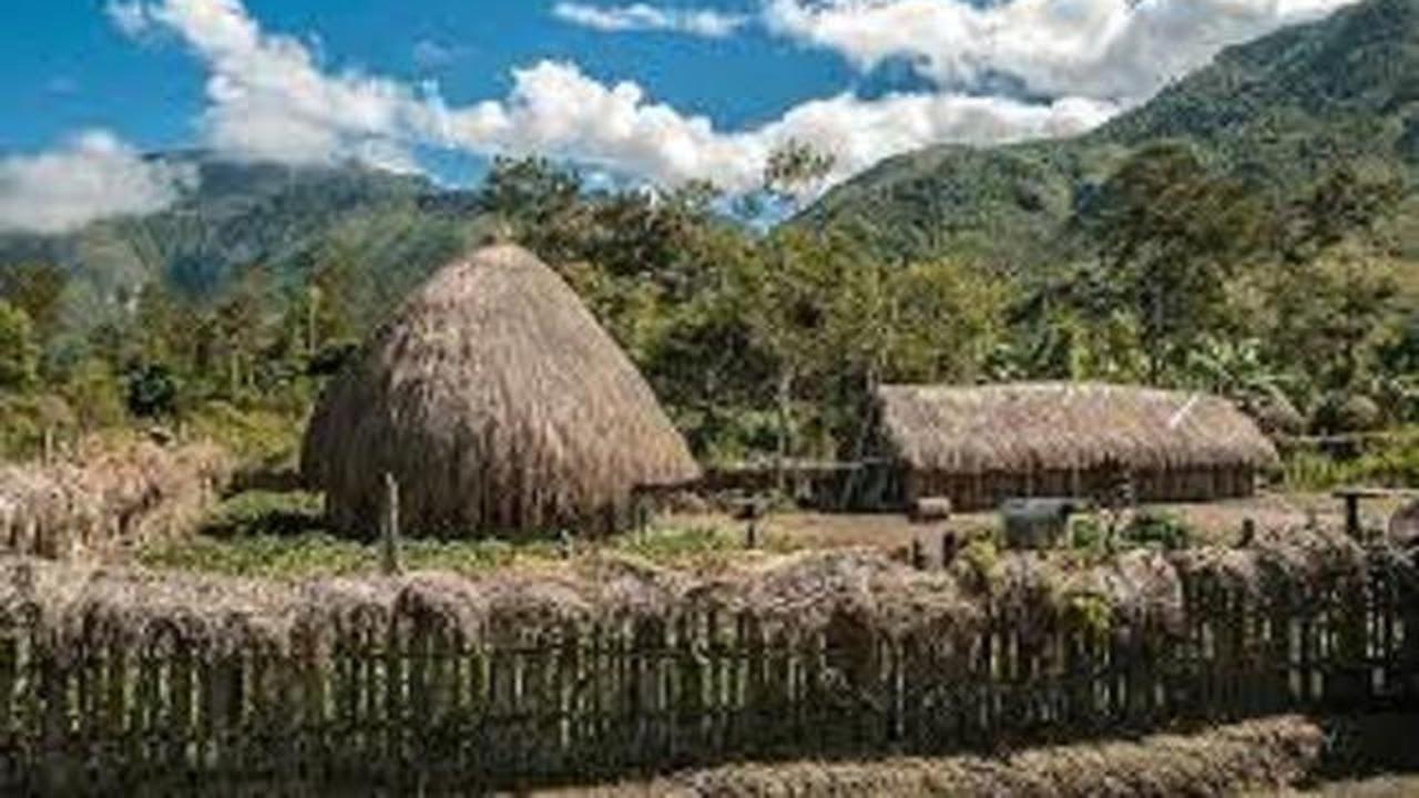 3 Rumah Adat Papua Selatan, Simak Penjelasan Arsitektur dan Fungsinya
