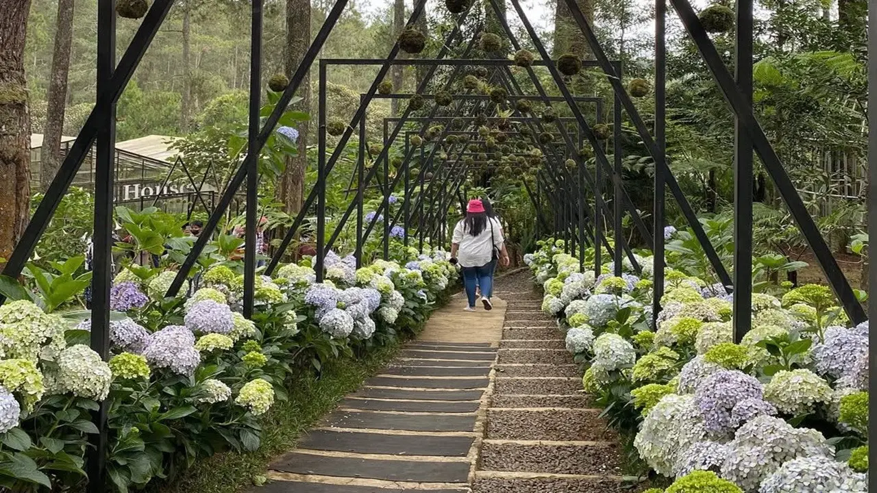 Orchid Forest Cikole