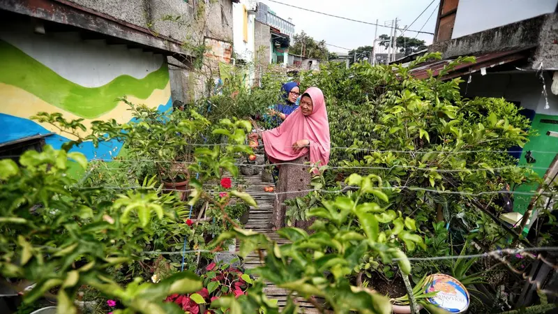 Tiap kampung berkebun mendapat tambahan komoditas dari pemerintah seperti bawang, cabai, tomat, terong, kemangi dan aneka bumbu dapur lainnya. (Foto: Liputan6.com/Humas Pemkot Bandung/Arie Nugraha)
