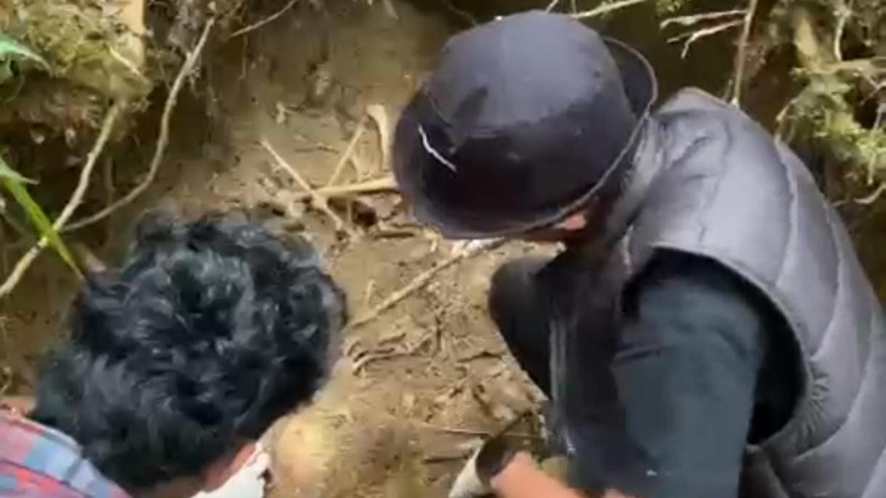 Kerangka Feni Ere