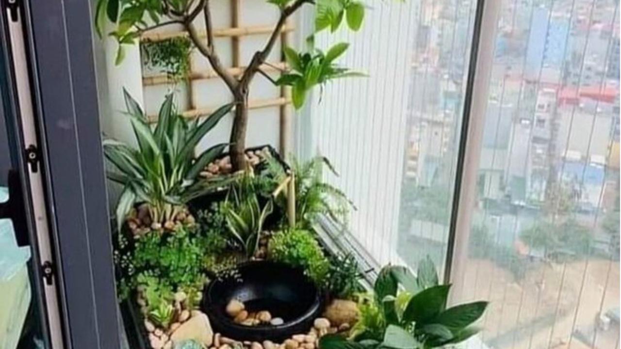 Ilustrasi Taman di Balkon Super Sempit (©Pinterest)