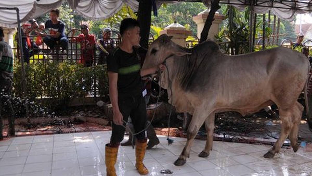 Doa agar Rezeki Cukup untuk Kurban Tahun Depan, Ikhtiar Batin agar Diberi Kelapangan