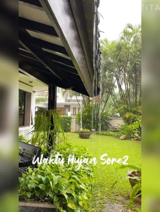 Beberapa waktu lalu, Widyawati memperlihatkan bagian belakang rumahnya yang luas dan dihiasi rerumputan hijau. (Foto: Instagram/@widyawati_sophiaan)