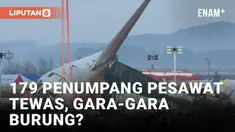 Pesawat Jeju Air Boeing 737-800 jatuh dan menelan korban jiwa sebanyak 179 orang. Kotak hitam pesawat, termasuk perekam data penerbangan dan suara kokpit, telah ditemukan dan akan dianalisis oleh ahli pemerintah untuk mengungkap penyebab kecelakaan d...