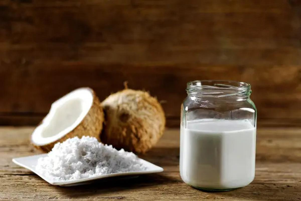 Tips Menyimpan Kelapa Kupas Agar Tahan Sebulan, Dijamin Tidak Tengik