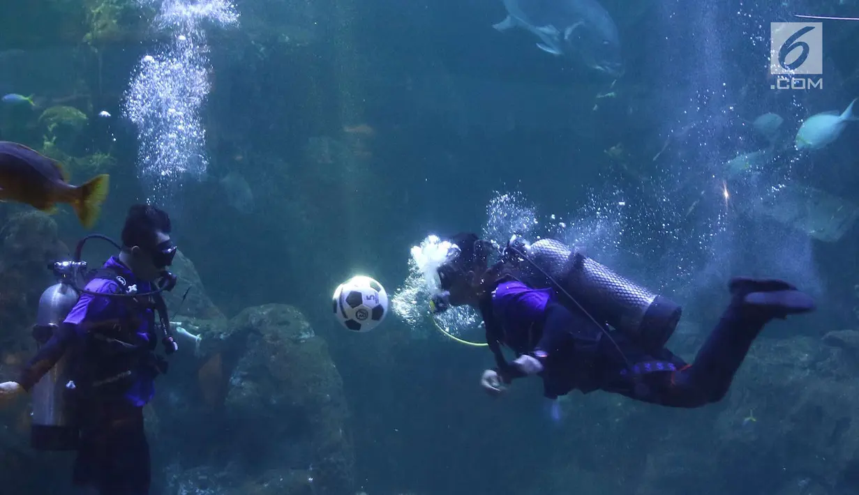 Penyelam melakukan atraksi menyundul bola di dalam aquarium Sea World, Jakarta, Sabtu (16/6). Atraksi tersebut digelar dalam rangka menyemarakkan ajang Piala Dunia 2018 yang berlangsung di Rusia. (Liputan6.com/Immanuel Antonius)