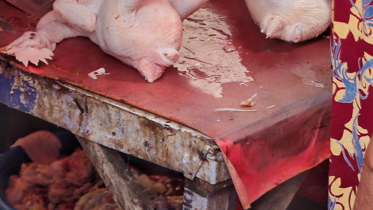 Harga Ayam Potong Tembus Rp90 Ribu, Pemprov DKI Bakal Lakukan Ini
