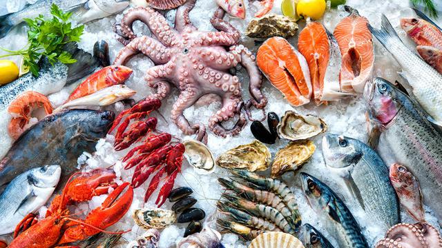 7 Macam Makanan Laut yang Aman dan Manfaatnya untuk Anak - Hot Liputan6.com