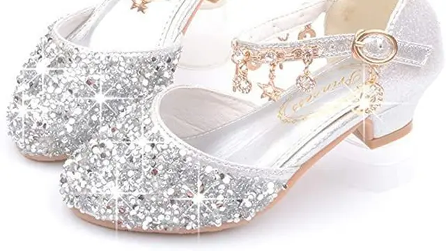 Sepatu Cantik Khusus untuk Pesta