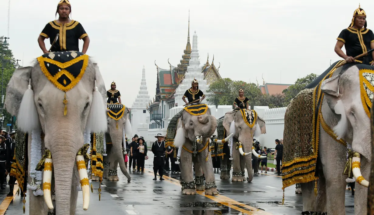 Rombongan gajah Ayutthaya yang ditunggangi pawangnya berjalan setelah memberi penghormatan kepada mendiang Raja Thailand Bhumibol Adulyadej di depan Royal Palace, Bangkok, Thailand (8/11). (Reuters/Jorge Silva)