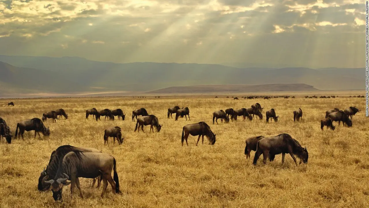 [Bintang] Tanzania