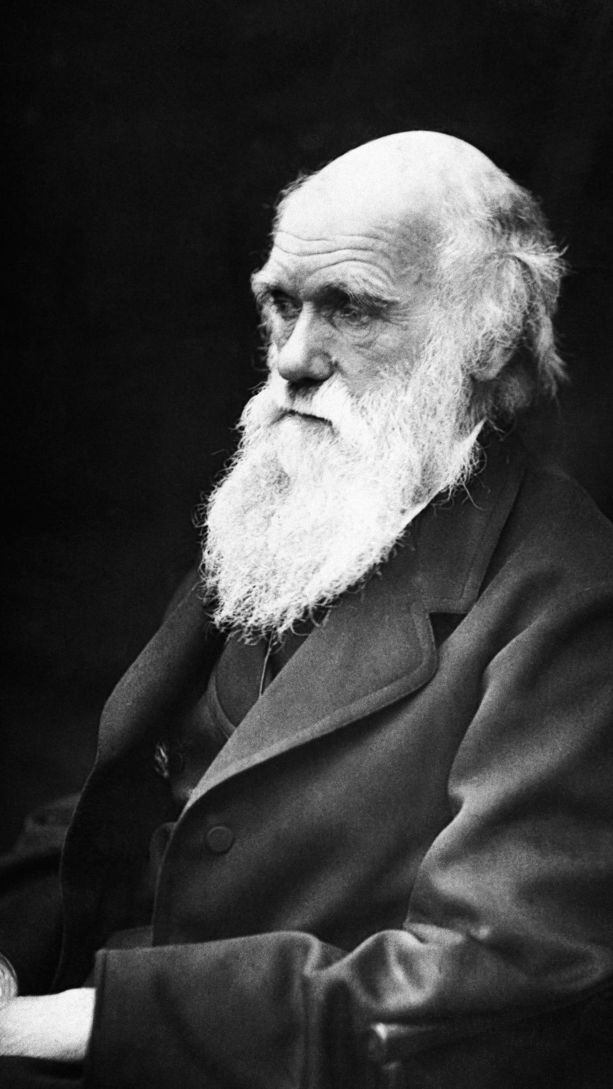 80.	"Seorang yang berani menyia-nyiakan waktu satu jam, belum menemukan nilai kehidupan." - Charles Darwin