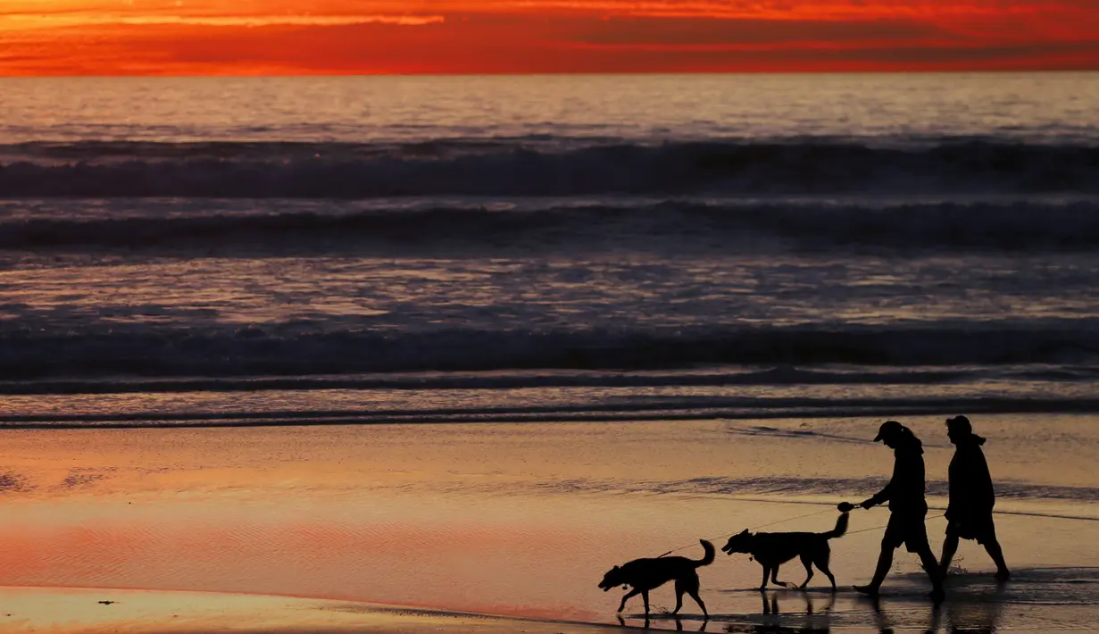 Warga membawa anjing saat berjalan di sepanjang pantai menikmati matahari terbenam di Cardiff, California (27/1/2016).  Wilayah Selatan California ini usai di landa Badai El Nino. (REUTERS/Mike Blake)