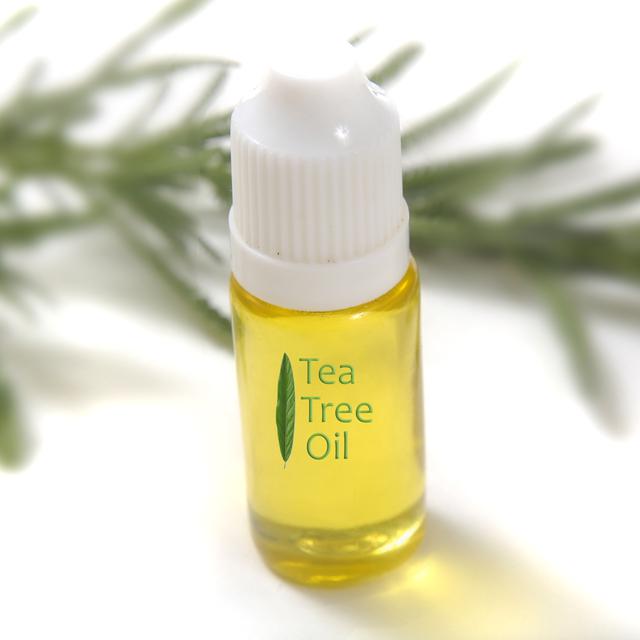 7 Ragam Manfaat Tea Tree Oil Health Liputan6 